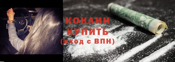 МДПВ Нея