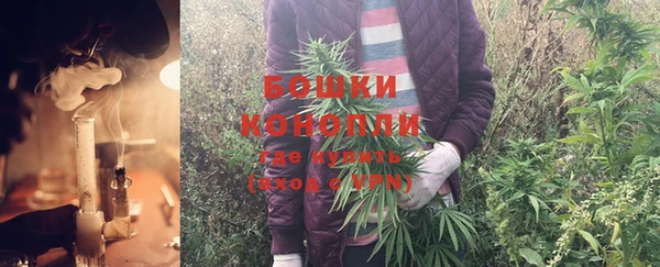 МДМА Новозыбков