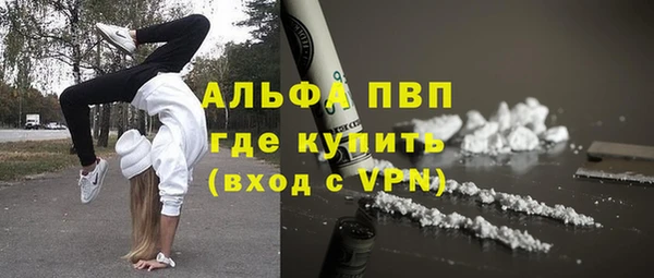 крисы Новодвинск