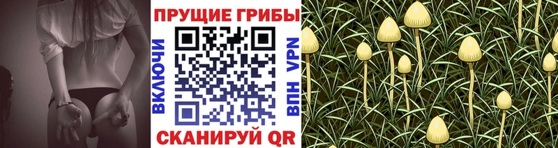 omg вход  Петропавловск-Камчатский  Галлюциногенные грибы MAGIC MUSHROOMS 