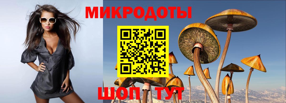 Петропавловск-Камчатский  Галлюциногенные грибы Psilocybine cubensis  Вход с VPN 